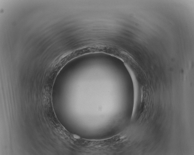 X0000063480773200601271654