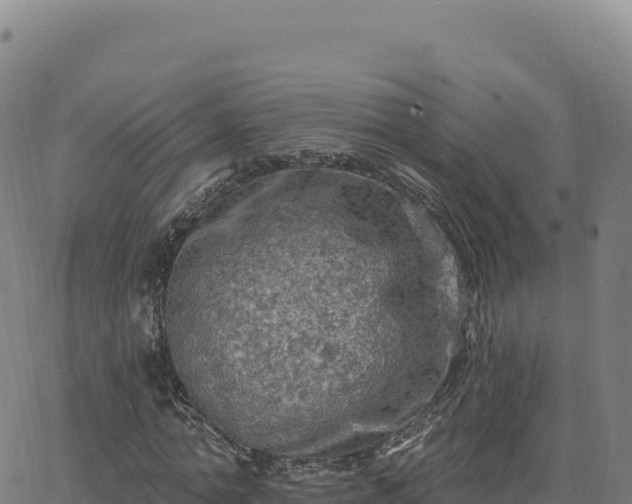 X0000063480774200601271654