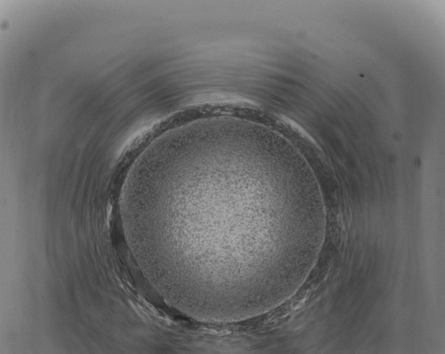 X0000063480775200601271654