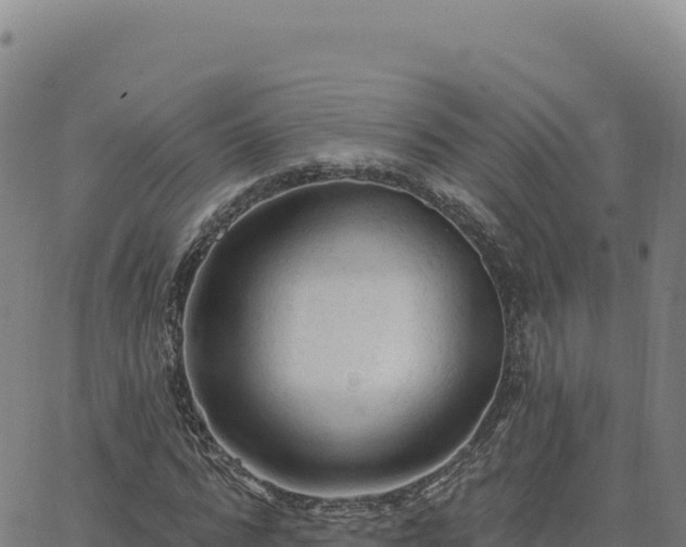 X0000063480776200601271654