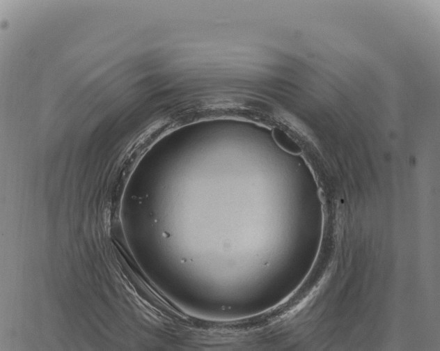 X0000063480777200601271654