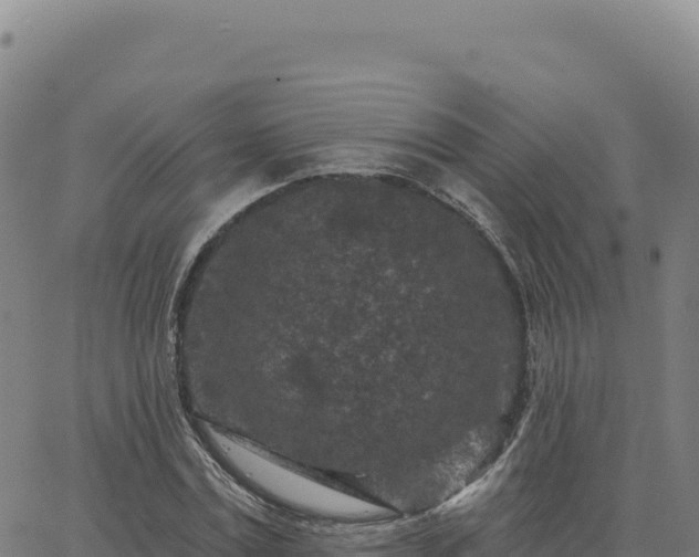 X0000063480779200601271654