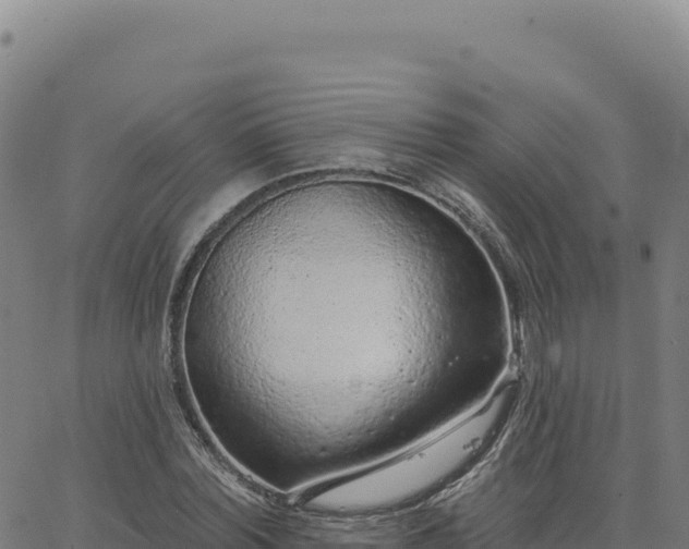 X0000063480780200601271654