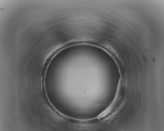 X0000063480781200601271653