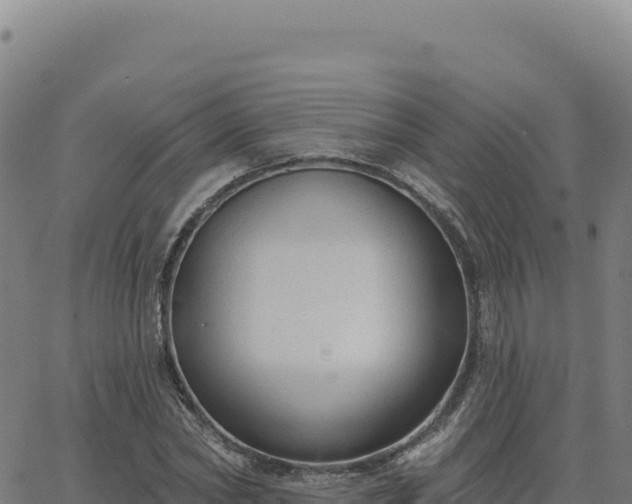 X0000063480782200601271653