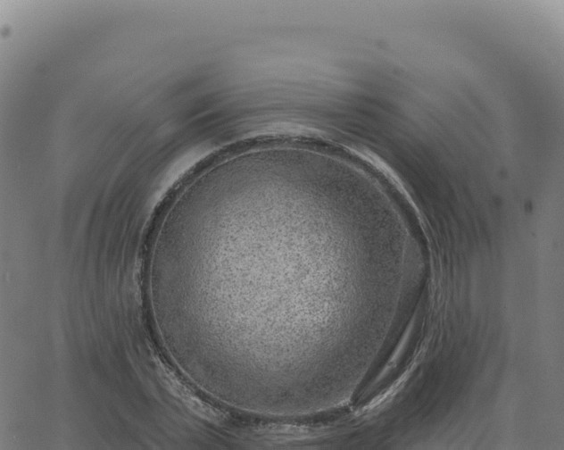 X0000063480783200601271653