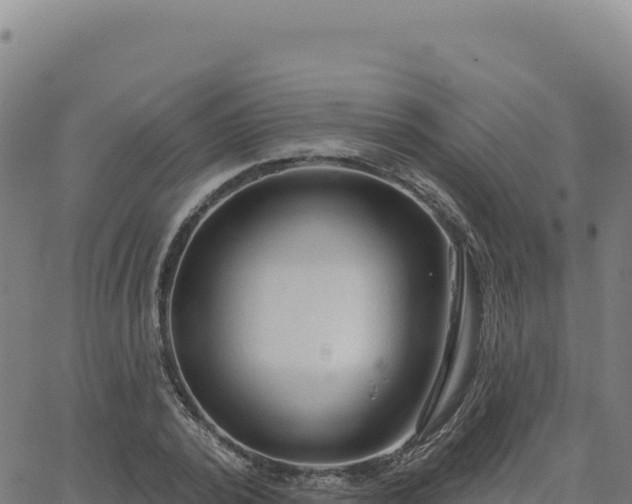 X0000063480784200601271653