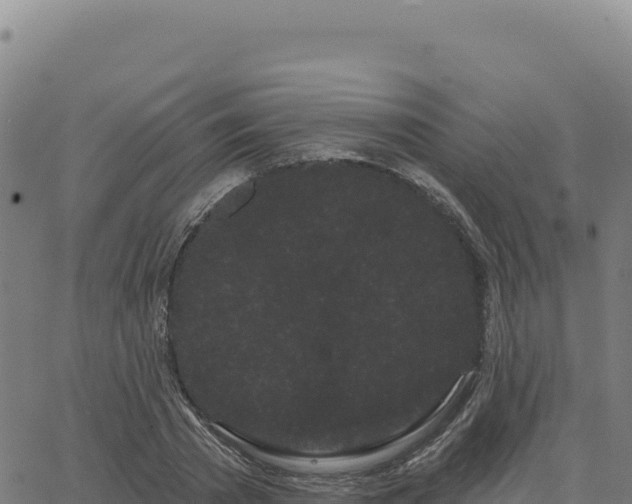 X0000063480785200601271653