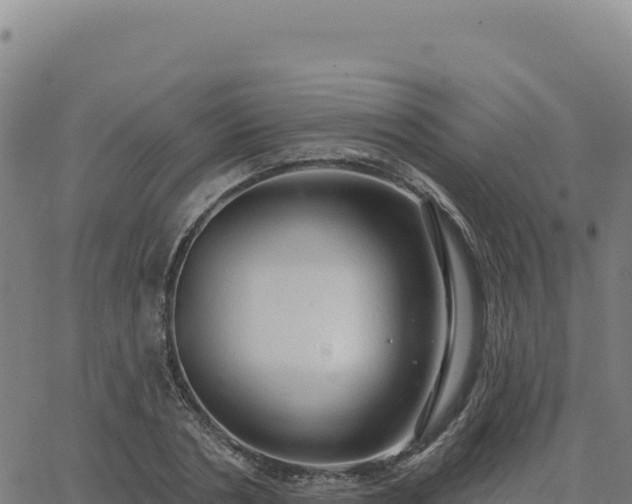 X0000063480786200601271653