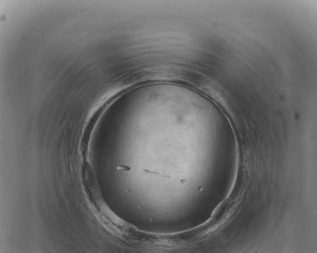 X0000063480787200601271653