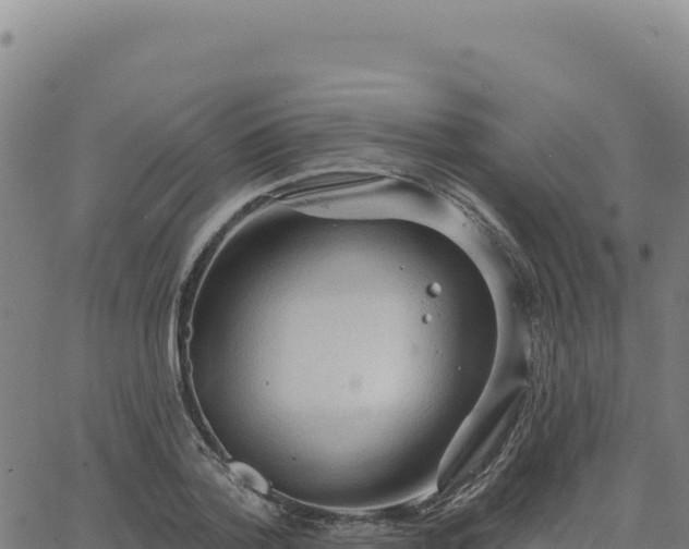 X0000063480788200601271653