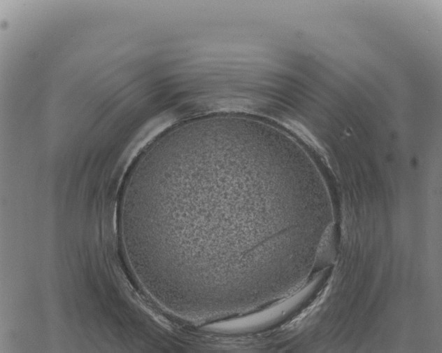 X0000063480790200601271653