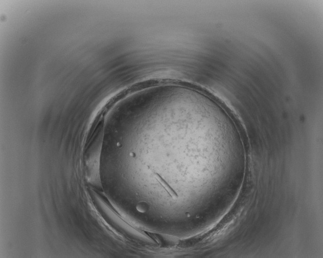 X0000063480791200601271653