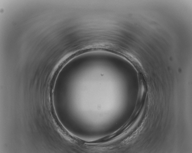 X0000063480792200601271653