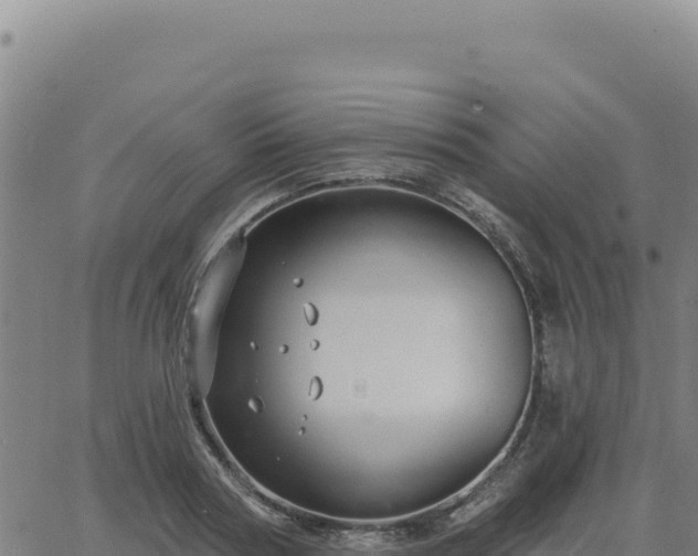 X0000063480794200601271653