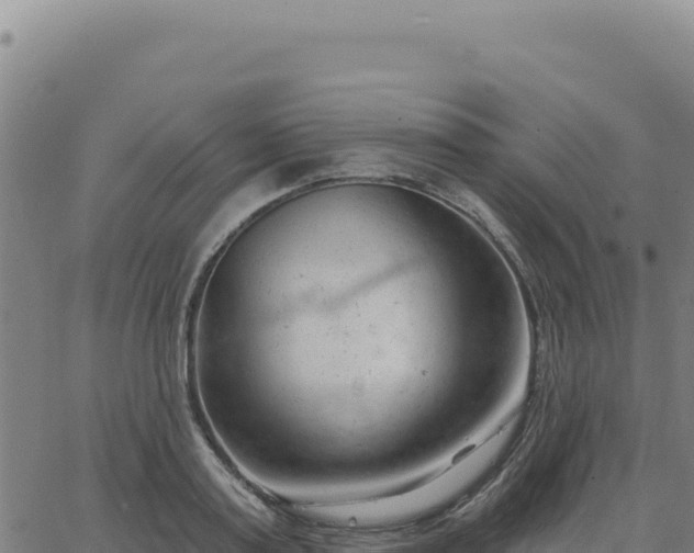 X0000063480795200601271653