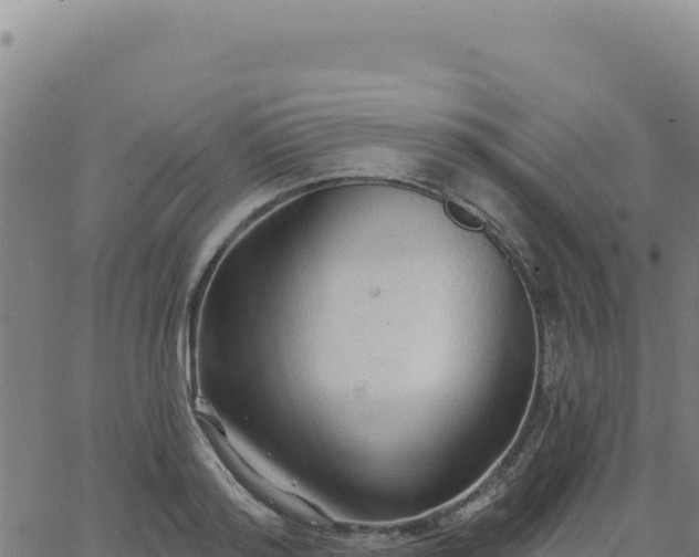 X0000063480796200601271653