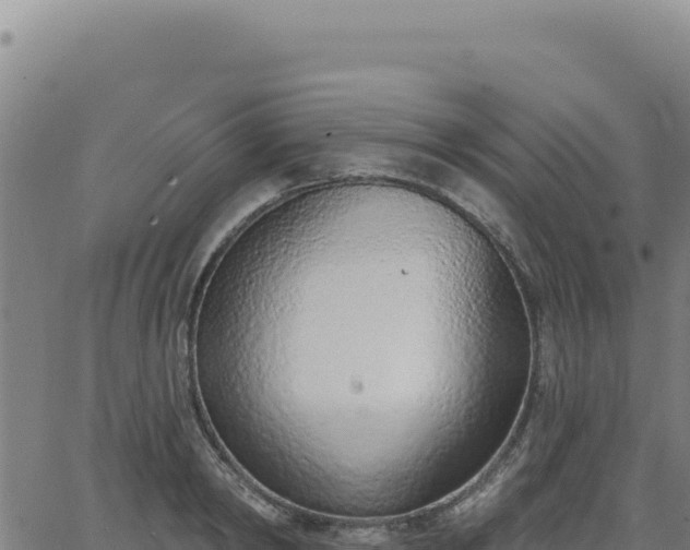 X0000063480798200601271653