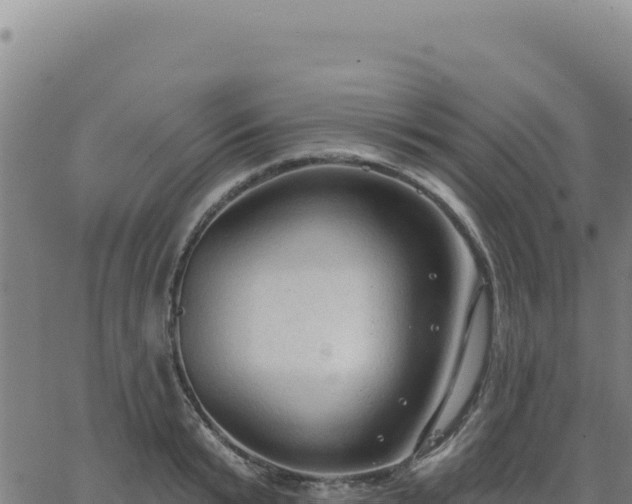 X0000063480799200601271653