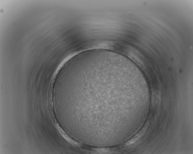 X0000063480800200601271653