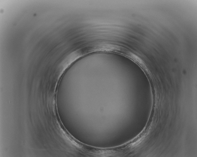 X0000063480802200601271653