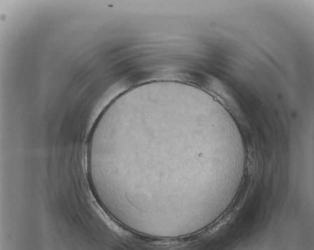 X0000063480804200601271653