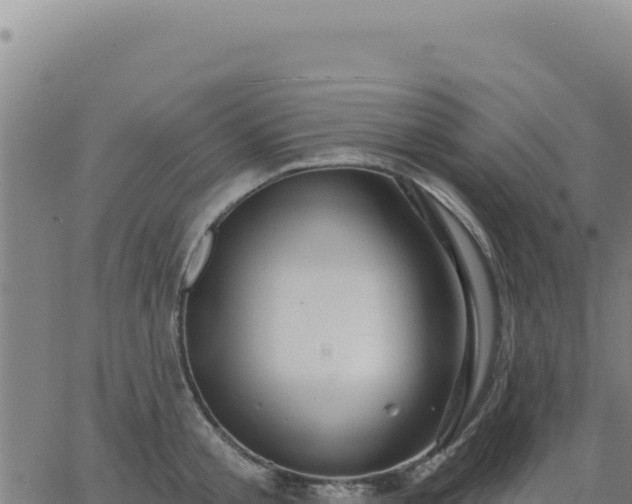 X0000063480805200601271653