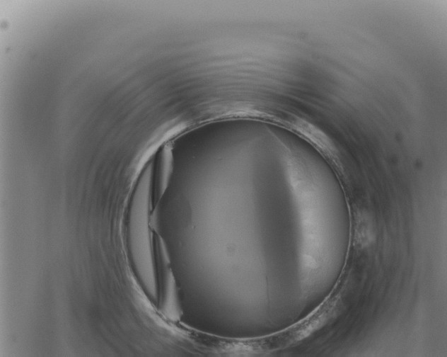 X0000063480806200601271653