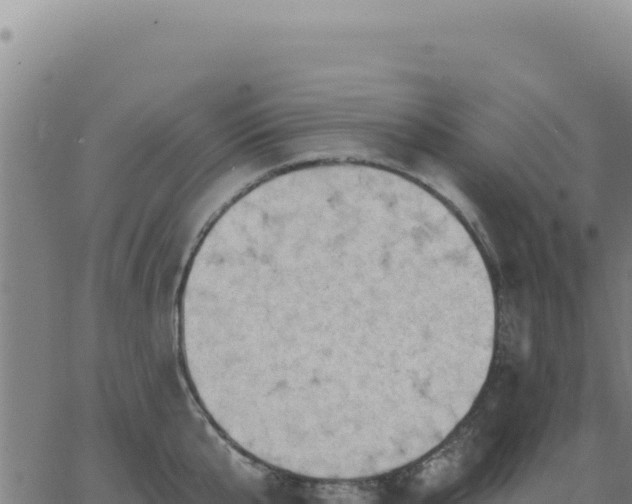 X0000063480807200601271653