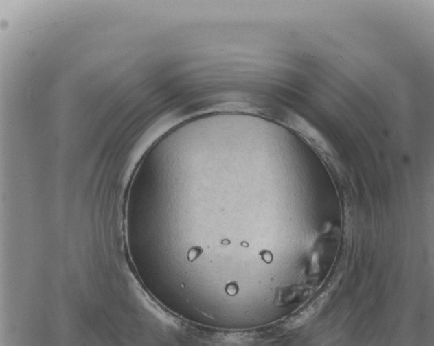 X0000063480808200601271653