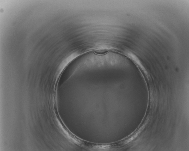 X0000063480810200601271653