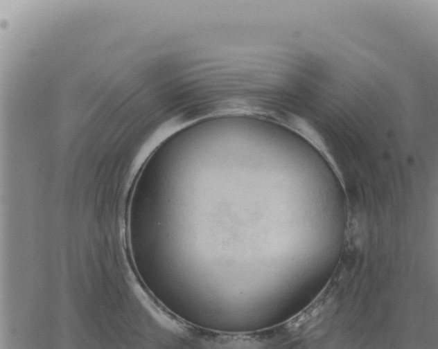 X0000063480811200601271653