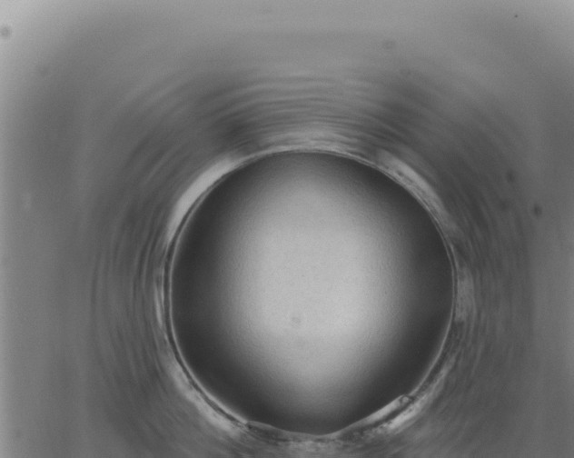 X0000063480812200601271653