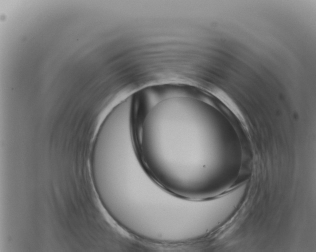 X0000063480813200601271653