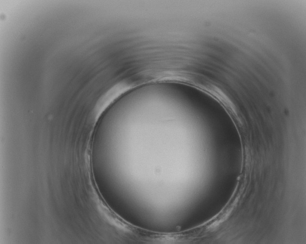 X0000063480814200601271653