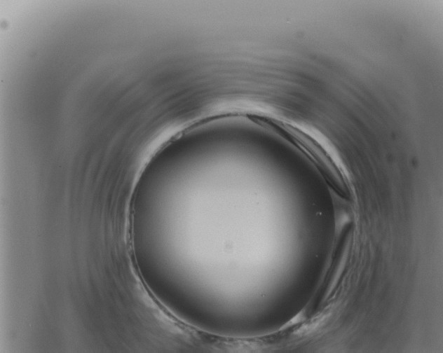 X0000063480815200601271653