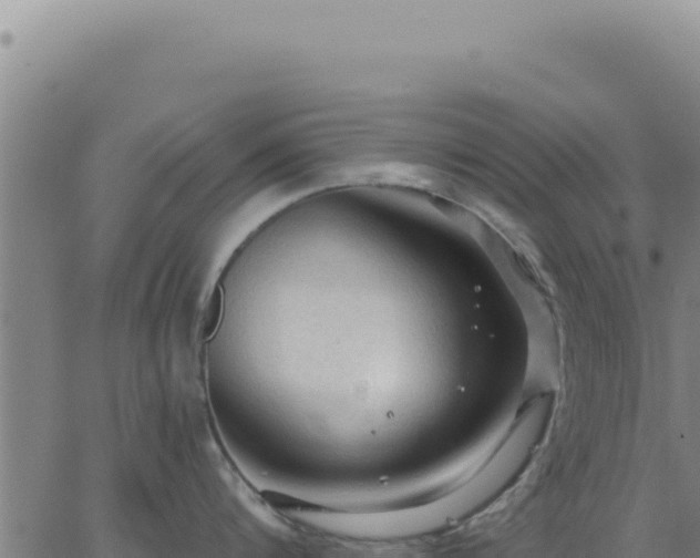 X0000063480816200601271653