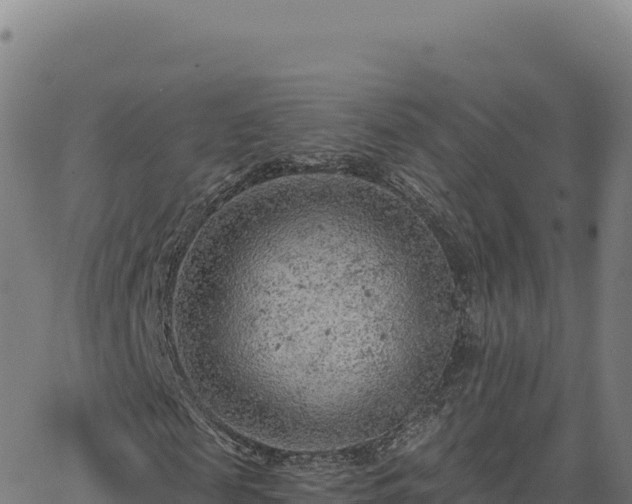 X0000063480817200601271652