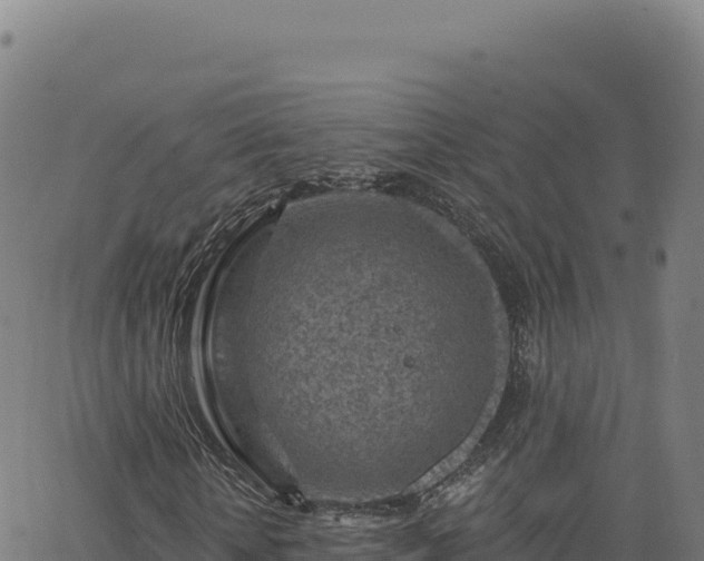 X0000063480818200601271652