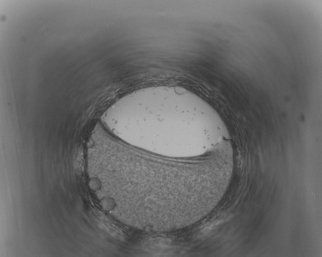 X0000063480820200601271652