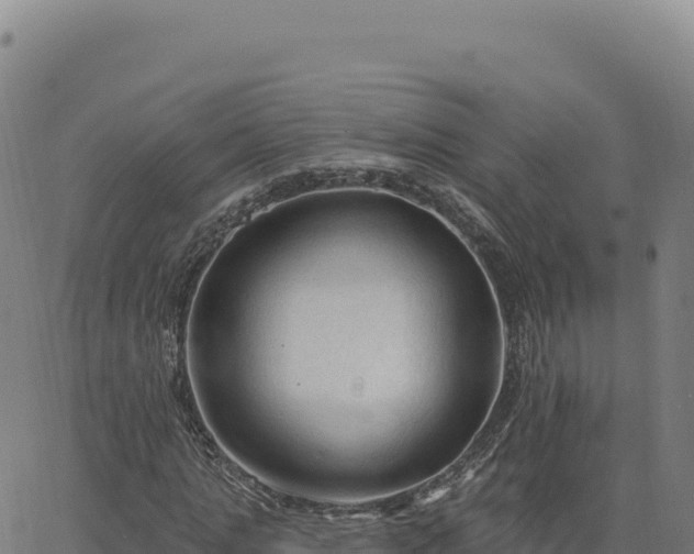 X0000063480821200601271652