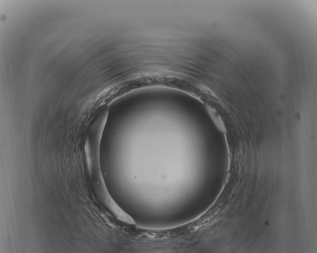 X0000063480822200601271652