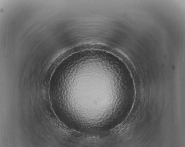 X0000063480823200601271652