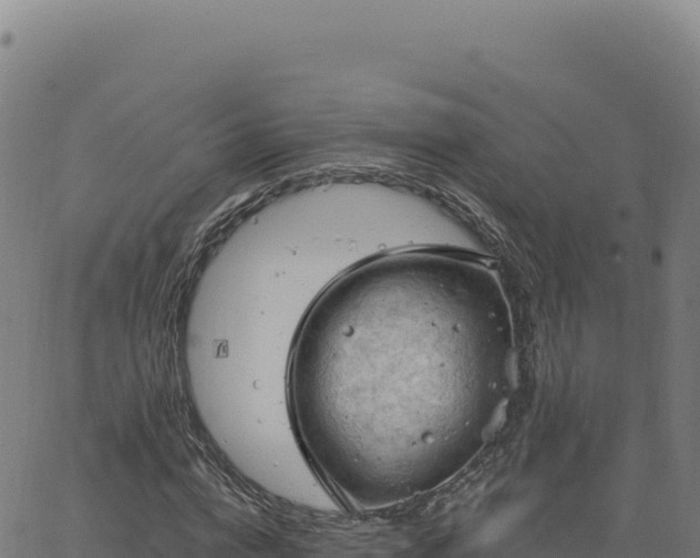 X0000063480824200601271652