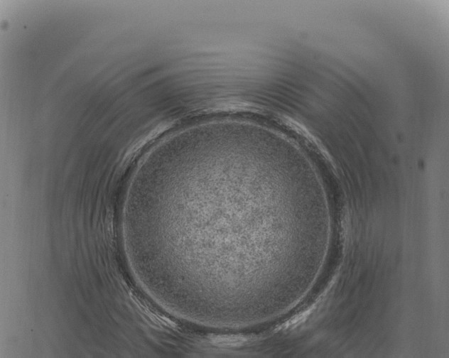 X0000063480825200601271652