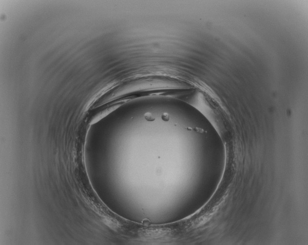 X0000063480826200601271652