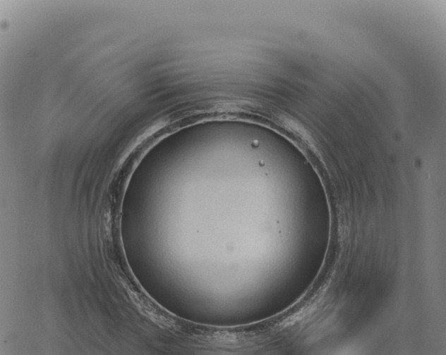 X0000063480827200601271652