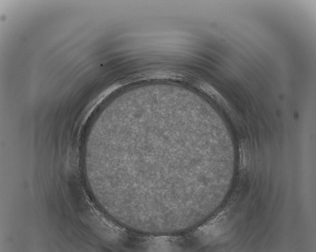 X0000063480828200601271652