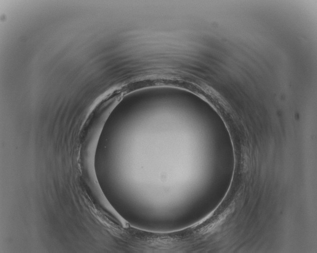 X0000063480830200601271652