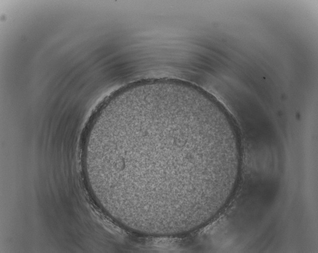 X0000063480832200601271652